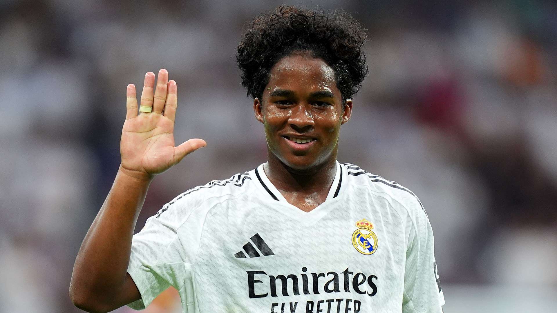 老将们的绿 老将们的绿